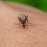 Σε δημόσια διαβούλευση το νομοσχέδιο για τις Μονάδες Αυξημένης Φροντίδας Εγκεφαλικών Μαρία Γεωργακοπούλου