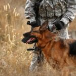 Δωρεάν προληπτικές εξετάσεις για τις κρατούμενες σε Κορυδαλλό και Θήβα