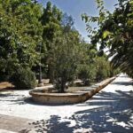 ΟΑΣΘ: Σε διαθεσιμότητας 51χρονος υπάλληλος- Συνελήφθη για σεξουαλική παρενόχληση 19χρονης