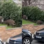 Π. Μαρινάκης για Αντ. Σαμαρά: Εξέφρασε πάγιες θέσεις του – Η κυβέρνηση συνεχίζει το πρόγραμμά της