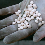 Κακοκαιρία Bettina: Κανονικά τα δρομολόγια των πλοίων – Μερική εξασθένιση των ανέμων