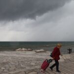 Γκάνα: Ποιος έκοψε το ιερό δένδρο κόλα; – «Θεράπευε ασθένειες και κατάρες»