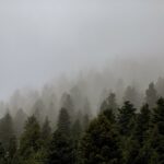 Χαλάνδρι: Πυροβολισμοί τη νύχτα – Βρέθηκαν 2 φυσίγγια