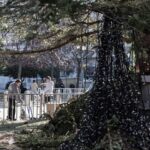 Αρνητικές θερμοκρασίες σε Ήπειρο και Δυτ. Μακεδονία: Πού έδειξε -5 βαθμούς το θερμόμετρο