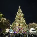 Συνεδριάζει την Παρασκευή το Κυβερνητικό Συμβούλιο Εθνικής Ασφάλειας υπό τον Κ. Μητσοτάκη