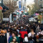 Φθιώτιδα: Ψάρεψαν χιλιάδες αχινούς – Πρόστιμο από το λιμεναρχείο