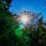 Χαλκιδική: Συνελήφθη να κλέβει παρεκκλήσι