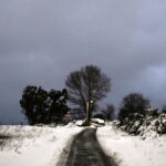 Ιερώνυμος για ομόφυλα ζευγάρια: Η Εκκλησία πιστεύει στην ελευθερία του ανθρώπου – Διαφωνία για την τεκνοθεσία