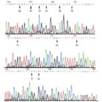 Πυροβολισμοί στο Γκάζι: Πώς έγινε η αιματηρή συμπλοκή