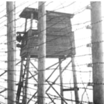 Καλαμάκι: Επίθεση 15 ατόμων σε ανήλικους- Τέσσερις συλλήψεις