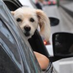 Επεισόδια στου Ρέντη: Βγαίνει από την καταστολή ο αστυνομικός – Κρίσιμη ημέρα η Τετάρτη