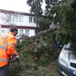 Δήλωση προθέσεων από Γκοφ στο Auckland Classic