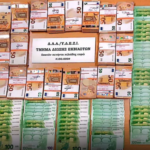 Πολύ μεγάλες νίκες για Καρδίτσα και Μαρούσι