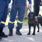 ΑΣΕΠ: Αιτήσεις για 152 θέσεις διοικητών και αναπληρωτών διοικητών Νοσοκομείων