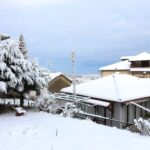 Ομόφυλα ζευγάρια: Συνεδριάζει η Διαρκής Ιερά Σύνοδος