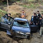 Λέσβος: Συνελήφθη άνδρας που θανάτωσε δύο κουνέλια