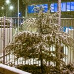 Κακοκαιρία: Διακοπή κυκλοφορίας στη Λεωφόρο Πάρνηθος