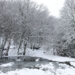 Ποιοι γιορτάζουν σήμερα, Τετάρτη 10 Ιανουαρίου
