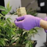 Η Ελλάδα πλησίασε το Ισραήλ στη βαθμολογία της UEFA