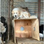 ΕΛ.ΑΣ.: 8 συλλήψεις, 15 προσαγωγές, 2 τραυματίες αστυνομικοί στα επεισόδια στο κέντρο της Αθήνας