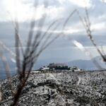 Ο πέντε-πέντες…: Ο Τραπεζούντιος που… δεν μιλούσε καμία γλώσσα