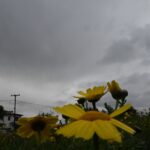 Τέμπη: Το πόρισμα – καταπέλτης, τα δεδομένα και το χρονοδιάγραμμα για τη δικαστική διαδικασία