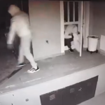 ΔΥΠΑ: Έως 5 Απριλίου οι αιτήσεις για το πρόγραμμα απασχόλησης με έμφαση σε πράσινη οικονομία και γυναίκες