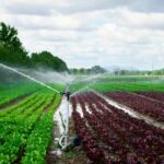 Ένωση Εισαγγελέων Ελλάδος: Συγκροτήθηκε σε σώμα το νέο ΔΣ