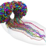 Ηράκλειο: Στα δικαστήρια οι 16χρονες για την επίθεση κατά 15χρονης