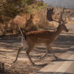 Επιστήμονες κατάφεραν να αφαιρέσουν επιτυχώς τον HIV από μολυσμένα κύτταρα Νατάσα Στασινού