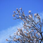 Πυροβολισμοί στο ΚΤΕΛ Κηφισού – Τραυματίας 35χρονος