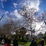 Θάνατος Μαλένας-Ίριδας: Η κατηγορούμενη μηνύει τη δικηγόρο του πρώην συζύγου της για συκοφαντική δυσφήμιση