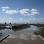 Κρήτη: Σκελετός εντοπίστηκε σε κοίτη ποταμού