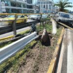 Θεσσαλονίκη: Σύλληψη 26χρονου για αρπαγή, εκβίαση και παράνομη μεταφορά μεταναστών