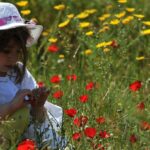 Τα πρωτοσέλιδα των εφημερίδων σήμερα, Μεγάλη Τρίτη