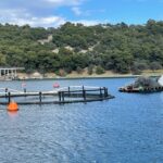 Κουέστα: “Μεγάλη ομάδα ο Άρης, ανυπομονούμε να φέρουμε το Κύπελλο στη Θεσσαλονίκη”