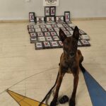 Δ. Κουτσούμπας για Μέση Ανατολή: Κίνδυνος γενίκευσης του πολέμου – Σέρνουν την Ελλάδα σε επικίνδυνα μονοπάτια