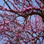 Ελεγκτές Εναέριας Κυκλοφορίας: 4ωρη στάση εργασίας στις 9 Απριλίου