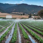 Περισσότερα από 400.000 ευρώ κοστίζουν οι απευθείας αναθέσεις του ΙΦΕΤ