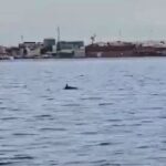 Επιστολική ψήφος: Πάνω από 100.000 εγγραφές στην πλατφόρμα