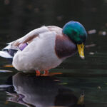 «Άνθρωποι πιστεύουν ότι έγινε επειδή φύσηξε» – Ο Γρηγόρης Πετράκος «αρνητής» και της αφρικανικής σκόνης