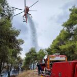 Τσακλόγλου: Μέσα στο επόμενο δίμηνο θα είναι έτοιμη η πλατφόρμα για τις συντάξεις με οφειλές
