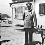 Για πάνω από μία ώρα έμεινε στο σκοτάδι η Θεσσαλονίκη – 150 κλήσεις στην Πυροσβεστική για απεγκλωβισμό ατόμων από ασανσέρ