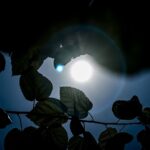 Πρωταθλήτρια για πρώτη φορά στην Ιστορία της η Λεβερκούζεν