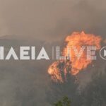 «Θα βγάλω βόλτα τις καμήλες, λογικά ακολουθούν οι ακρίδες» – Το Twitter «το διασκεδάζει» με την αφρικανική σκόνη