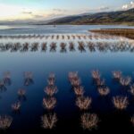 Ηγουμενίτσα: Και νέο μπλόκο σε φορτίο με κοκαΐνη – 2 εκατ. ευρώ η αξία της (βίντεο)