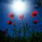 ActionAid: Το φως της ελπίδας ταξιδεύει παντού μέσα από την αλληλεγγύη