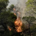 Covid: 8 νεκροί, 12 σε ΜΕΘ την τελευταία εβδομάδα – Γρίπη: Νέος θάνατος