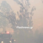 Ποια φαρμακεία εφημερεύουν σήμερα