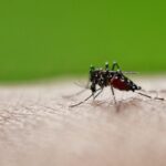 Συνάντηση ΕΠΟ-SL με την Επιτροπή παρακολούθησης του Συμβουλίου της Ευρώπης Παναγιώτης Κουμάνταρος